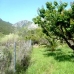 Lliber property: 3 bedroom Finca in Alicante 65296