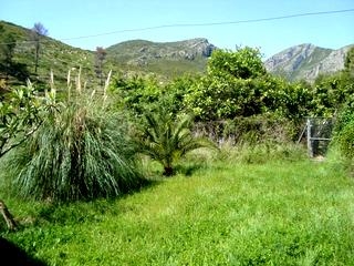 Lliber property: Lliber Finca 65297