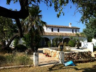 Jalon property: Finca for sale in Jalon 65301