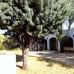 Jalon property: Beautiful Finca for sale in Jalon 65301