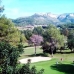 Pedreguer property: Alicante Apartment, Spain 65389