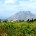 Denia property: Beautiful Apartment to rent in Alicante 65429