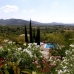 Beautiful Finca for sale in town 65952