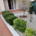 Playa Flamenca property: Beautiful Apartment for sale in Alicante 65995