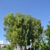 Fuengirola property: Malaga Townhome, Spain 66024