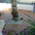 Villamartin property: Bungalow for sale in Villamartin 66048