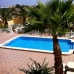 Daya Vieja property: 4 bedroom Finca in Daya Vieja, Spain 66102
