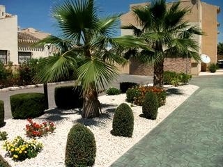 Playa Flamenca property: Playa Flamenca Apartment 66108