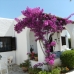 Mojacar property: Mojacar Townhome, Spain 66114