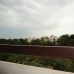 Los Dolses property: 2 bedroom Apartment in Alicante 66129