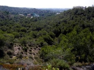 Las Ramblas property: Apartment for sale in Las Ramblas 66137