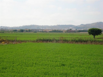 Daya Vieja property: Daya Vieja, Spain | Apartment for sale 66208