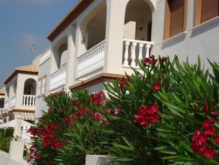 Daya Vieja property: Alicante Apartment 66208