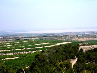 San Miguel De Salinas property: Apartment in Alicante for sale 66220