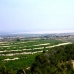 San Miguel De Salinas property: Apartment in San Miguel De Salinas 66220