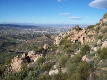 Turre property: Land for sale in Turre, Almeria 66291