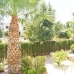 Villamartin property: Apartment in Villamartin 66324