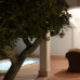 Sucina property: 2 bedroom Apartment in Sucina, Spain 66358