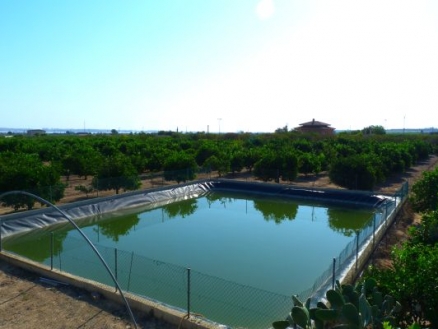 San Miguel De Salinas property: Land for sale in San Miguel De Salinas 66387