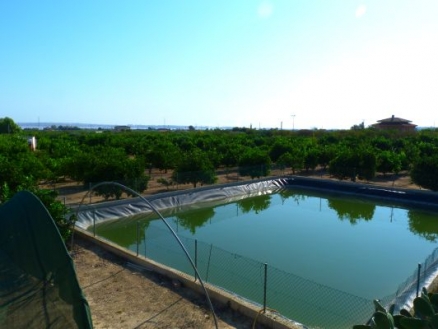 San Miguel De Salinas property: Land with bedroom in San Miguel De Salinas 66387