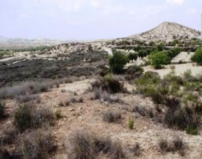 San Miguel De Salinas property: Land with bedroom in San Miguel De Salinas, Spain 66387