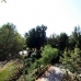 Nueva Andalucia property: Malaga, Spain Apartment 66421
