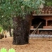 Polop property: Alicante Finca, Spain 66483