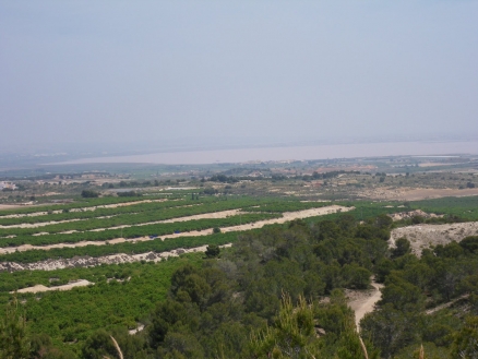 San Miguel De Salinas property: Apartment with 1 bedroom in San Miguel De Salinas, Spain 66486