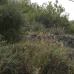 Orba property: Orba, Spain Land 66555