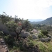 Orba property: Orba, Spain Land 66562