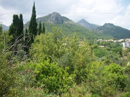 Orba property: Orba, Spain | Land for sale 66570