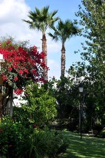 Vera property: Almeria property | 1 bedroom Apartment 66571