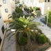 Campoamor property: 2 bedroom Apartment in Alicante 66621