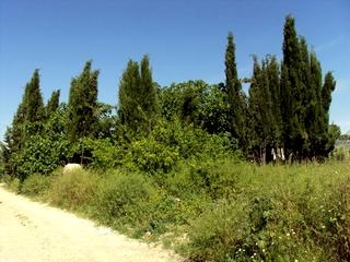 Villanueva De Algaidas property: Villa with 3 bedroom in Villanueva De Algaidas 66629
