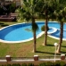Mil Palmeras property:  Apartment in Alicante 66694