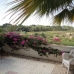 Los Dolses property: Los Dolses Apartment, Spain 66704