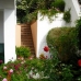 4 bedroom Villa in Tenerife 66715