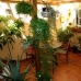 Medina Sidonia property: Beautiful Townhome for sale in Medina Sidonia 66799