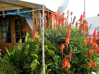 La Palma property: Murcia Finca 66815