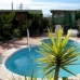 La Palma property:  Finca in Murcia 66815