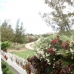 1 bedroom Apartment in town, Spain 66849