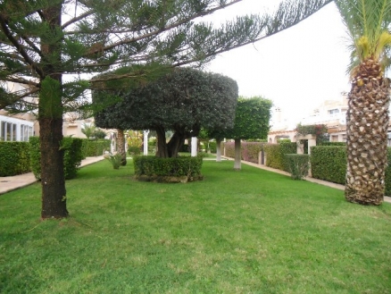 Playa Flamenca property: Alicante Apartment 66859