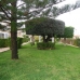 Playa Flamenca property: Beautiful Apartment for sale in Playa Flamenca 66859