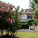Mil Palmeras property: Mil Palmeras, Spain Apartment 66890