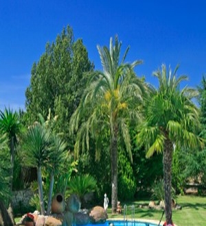 Javea property: Villa for sale in Javea, Alicante 66897