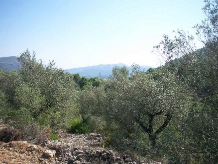 Murla property: Land for sale in Murla, Spain 66976