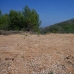 Murla property:  Land in Alicante 66976