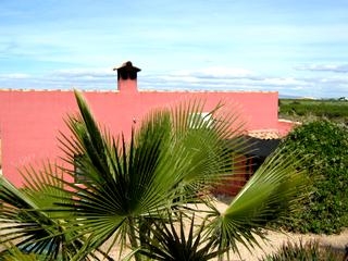 Finca for sale in town 66994