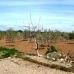 2 bedroom Finca in Murcia 66994