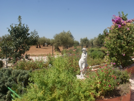 Montoro property: Montoro Finca 67046
